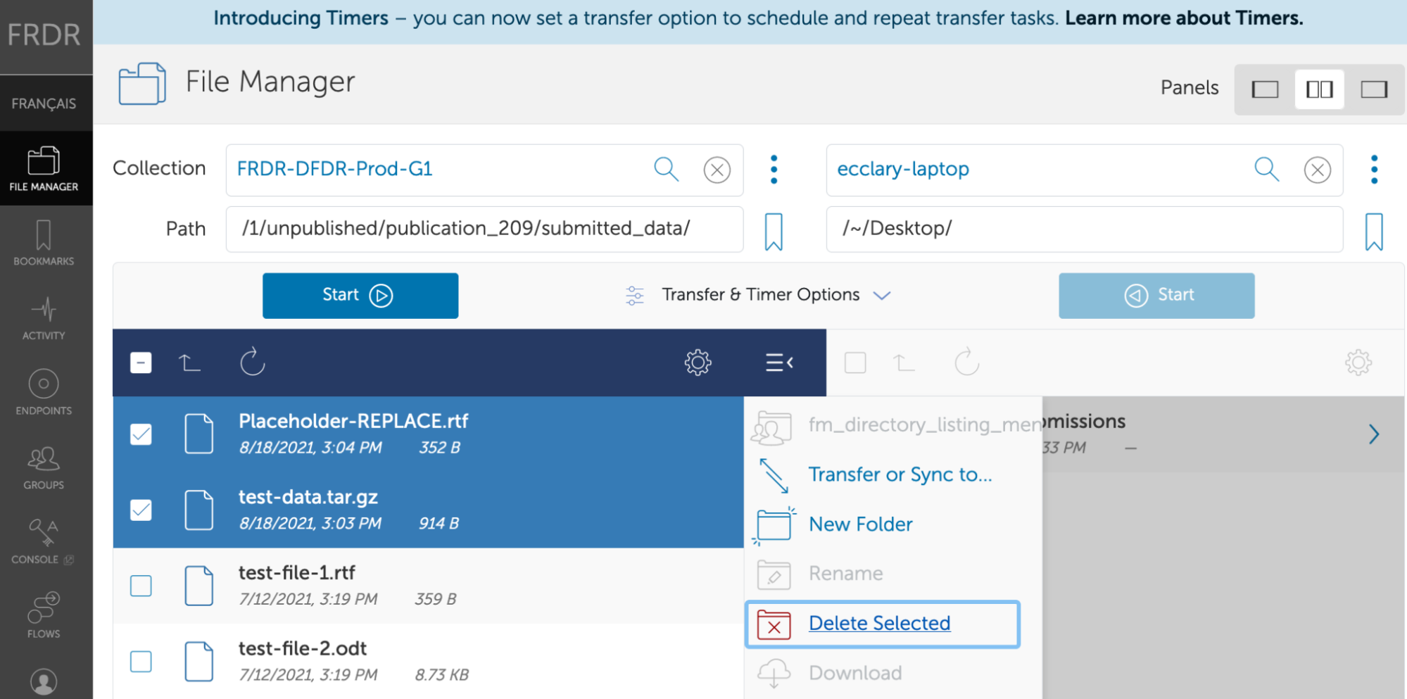 Screenshot showing the file manager in FRDR.