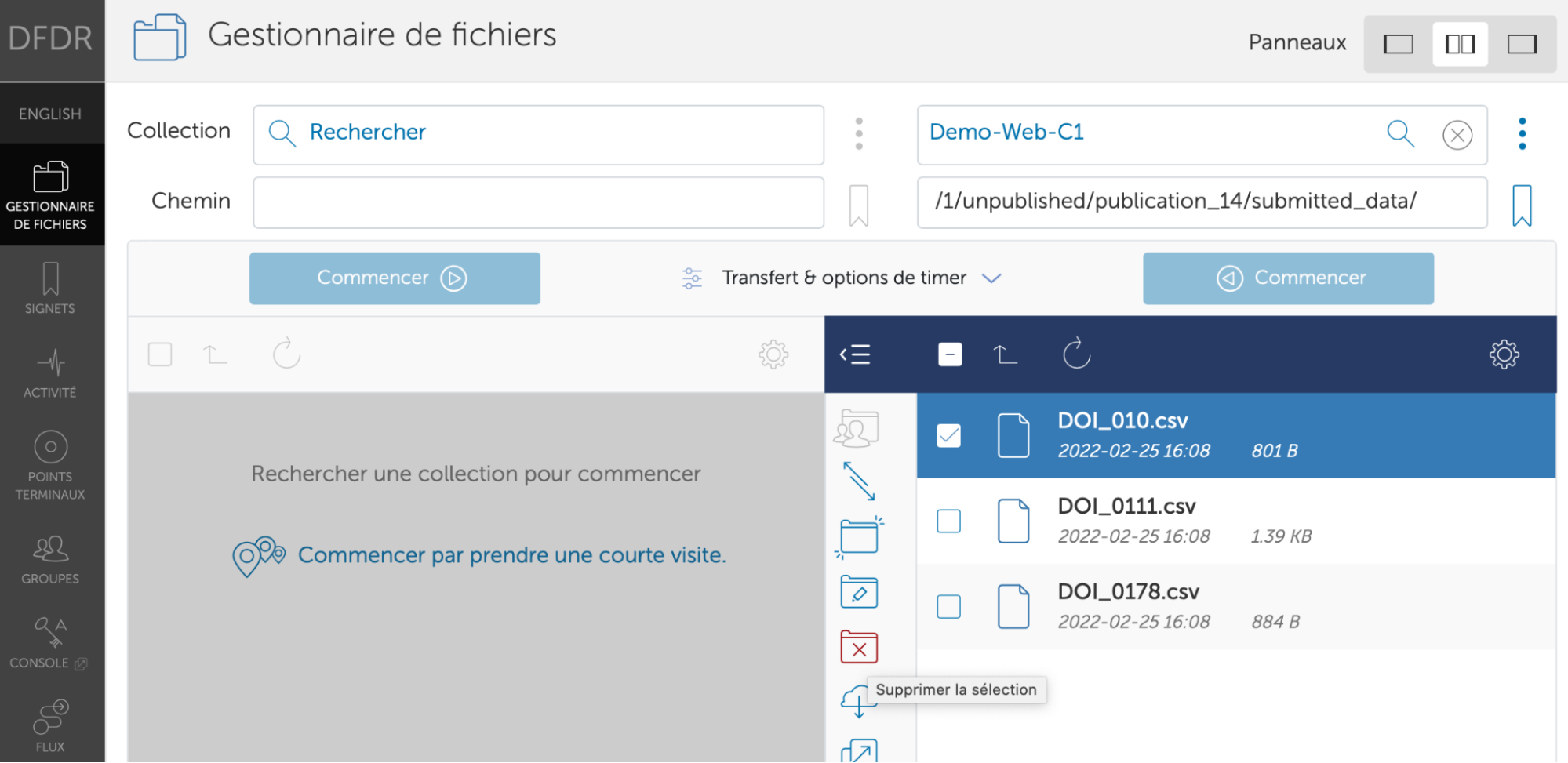 Capture d'écran montrant le gestionnaire de fichiers du DFDR.